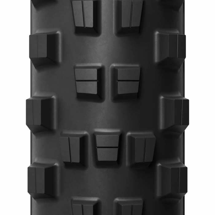 E-Wild Racing Front