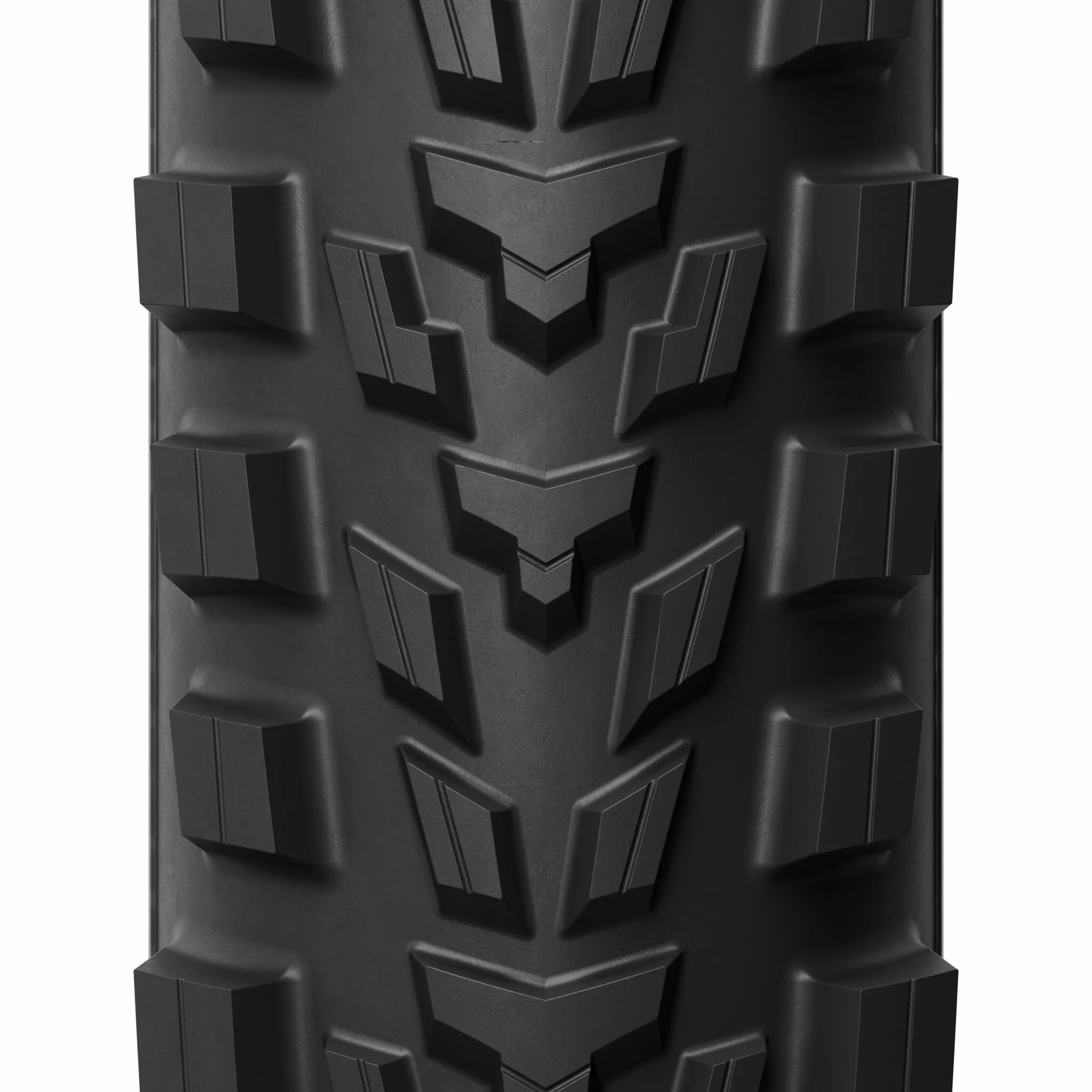 Wild Enduro Racing Rear