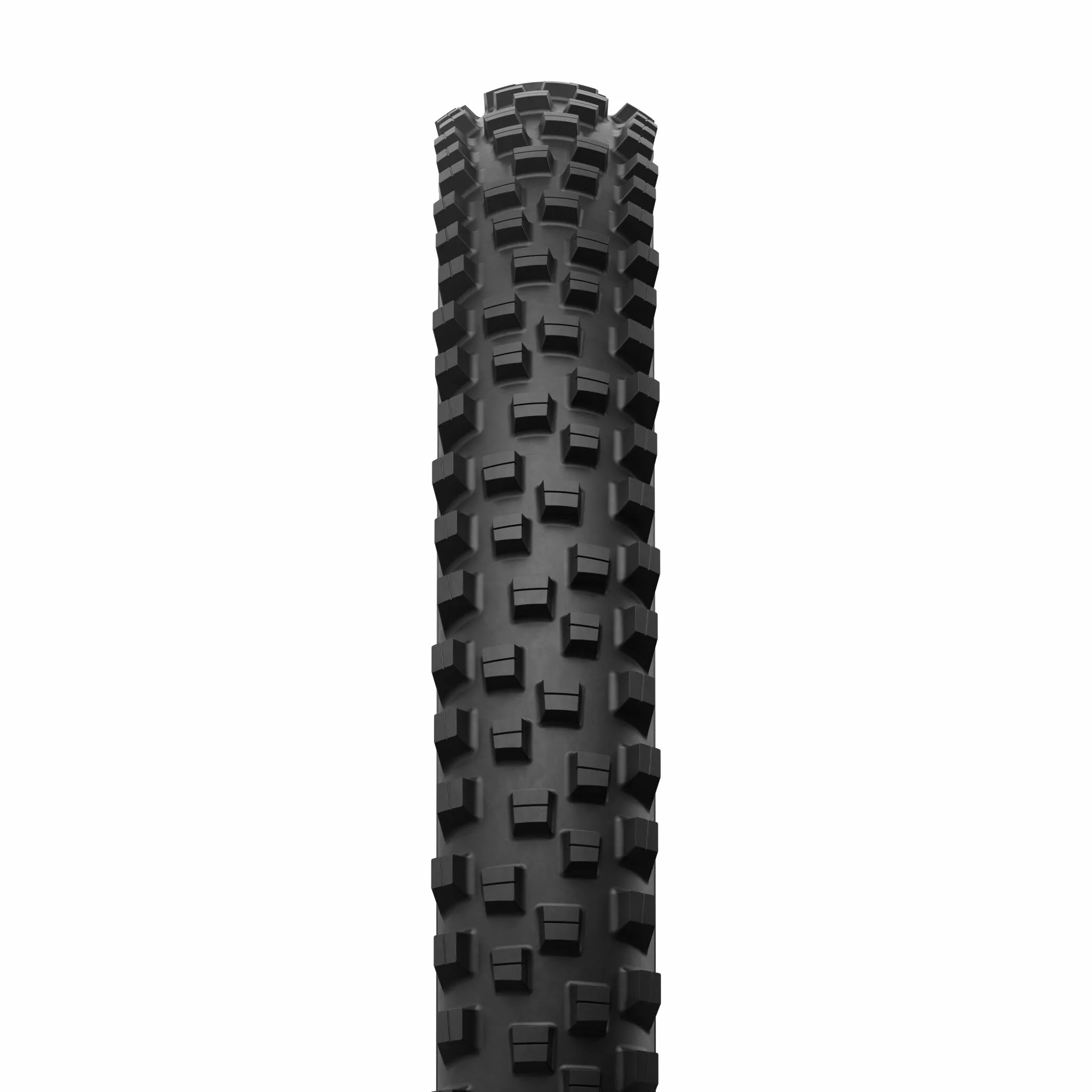E-Wild Racing Rear