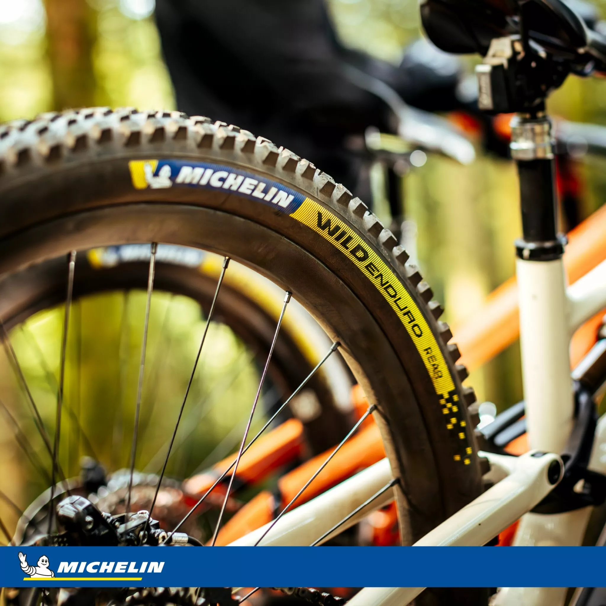 Wild Enduro Racing Rear