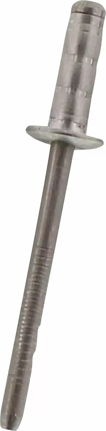 Заклепка SS
