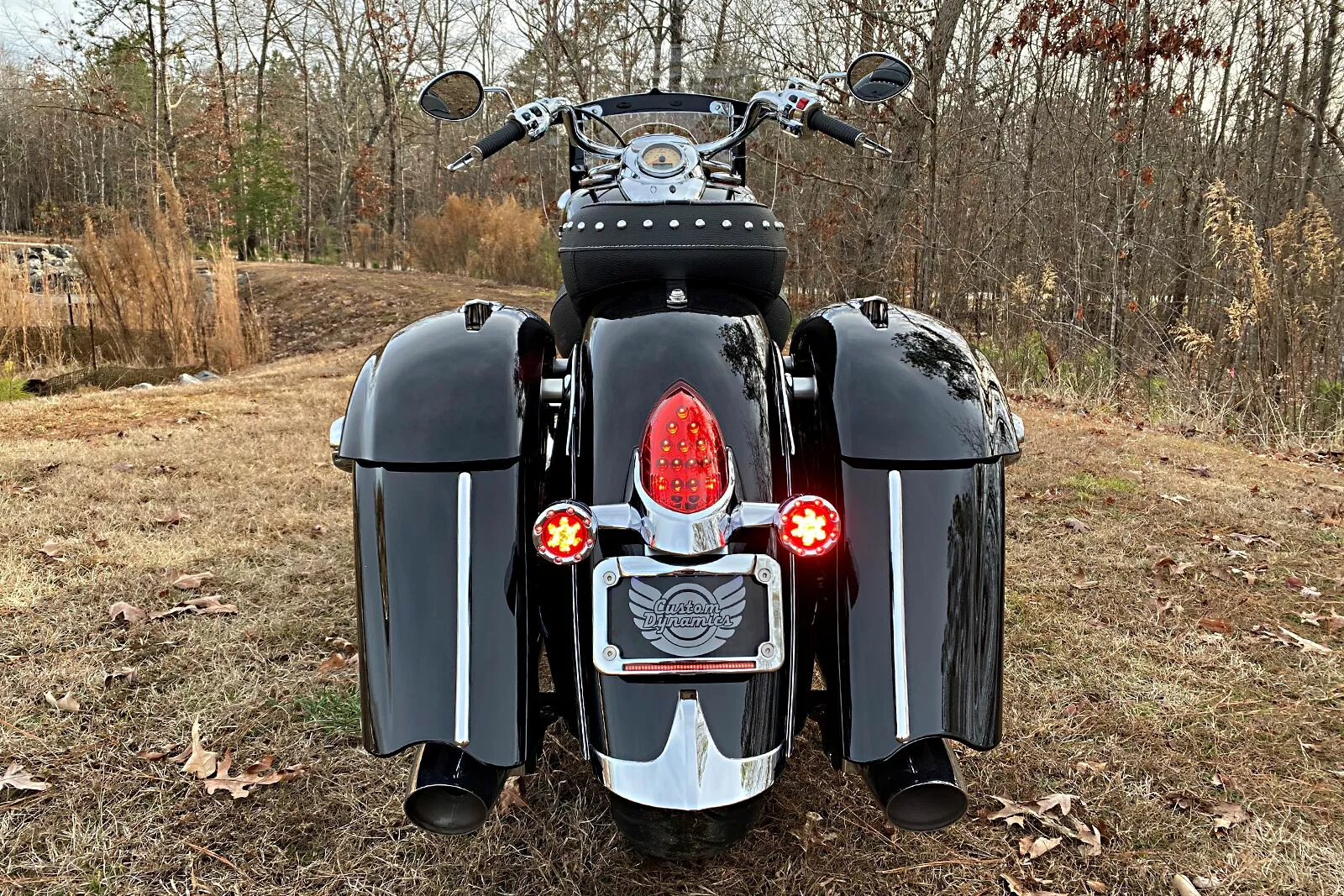 Світлодіодні задні покажчики повороту ProBEAM® Bullet Ringz™ для Scout