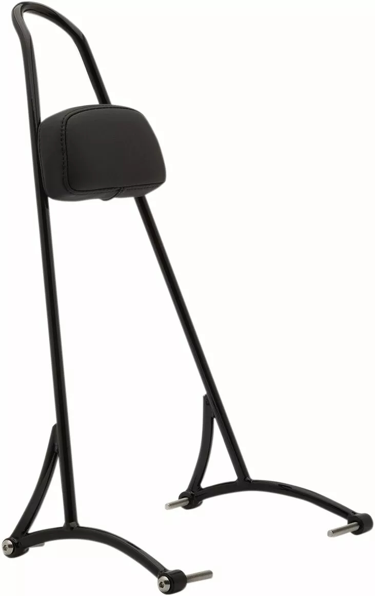 20" Tall Sissy Bar